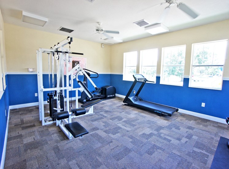 Community fitness center with blue walls and off-white walls, with exercise bike, treadmill, elliptical, and weight machines
